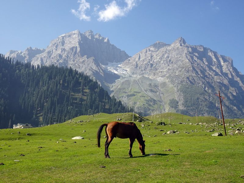 untitled design (29)