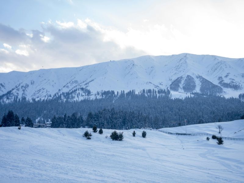 untitled design (31)